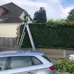 hedge work