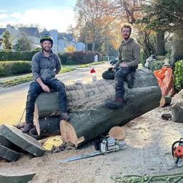 Man standing next to tree cut down